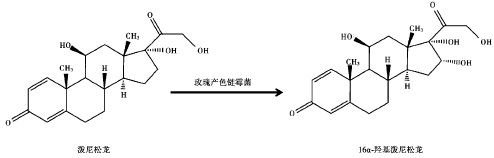 生物合成法制备 16α－羟基泼尼松龙